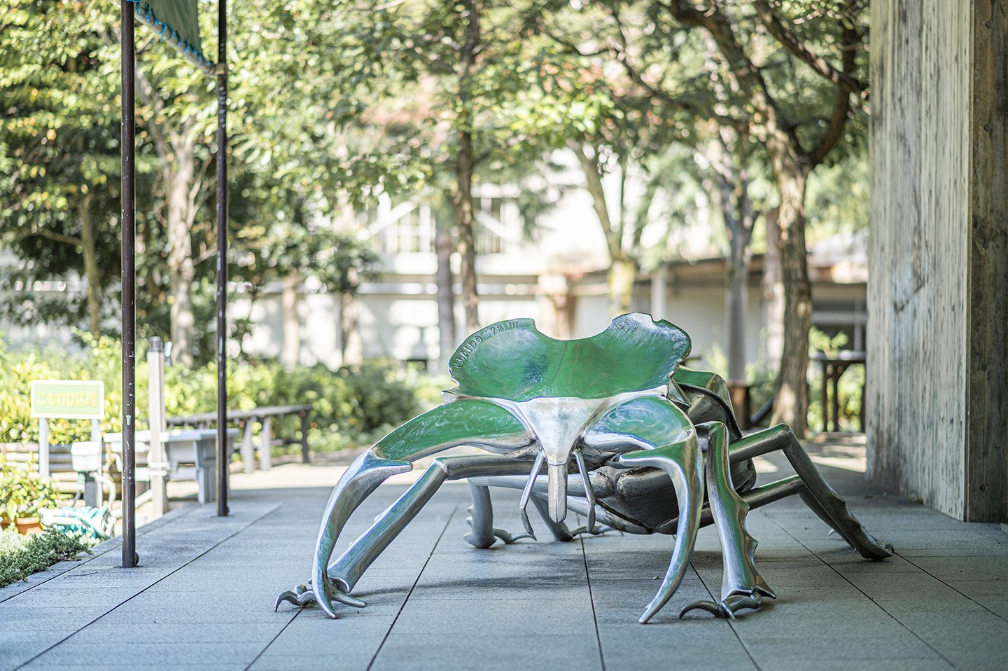 🦋 이시카와현 만남의 곤충관(이시카와켄 후레아이 콘추칸) 이미지 7